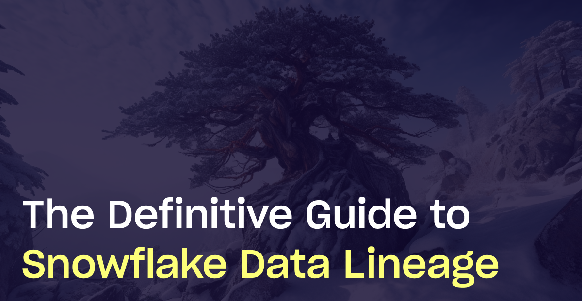 The Definitive Guide to Snowflake Data Lineage Metaplane